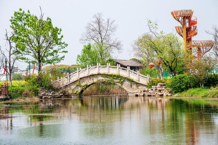9731芳草地,一片静谧心灵的栖息地 SEO关键词 9731芳草地,一片静谧心灵的栖息地 9731芳草地,一片静谧心灵的栖息地 SEO关键词