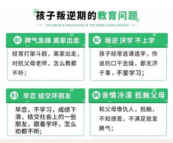 CGO暴躁男孩,解码青少年心理困境与教育应对步骤 搜狗SEO CGO暴躁男孩,解码青少年心理困境与教育应对步骤 CGO暴躁男孩,解码青少年心理困境与教育应对步骤 搜狗SEO