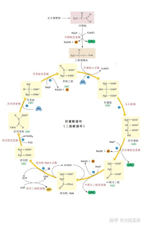 g54,编程语言的奇迹与挑战 g54,编程语言的奇迹与挑战 百度SEO
