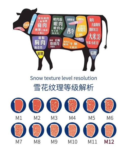 G代码M8和M9在现代数控加工中的重要性与应用 神马SEO G代码M8和M9在现代数控加工中的重要性与应用 G代码M8和M9在现代数控加工中的重要性与应用 神马SEO