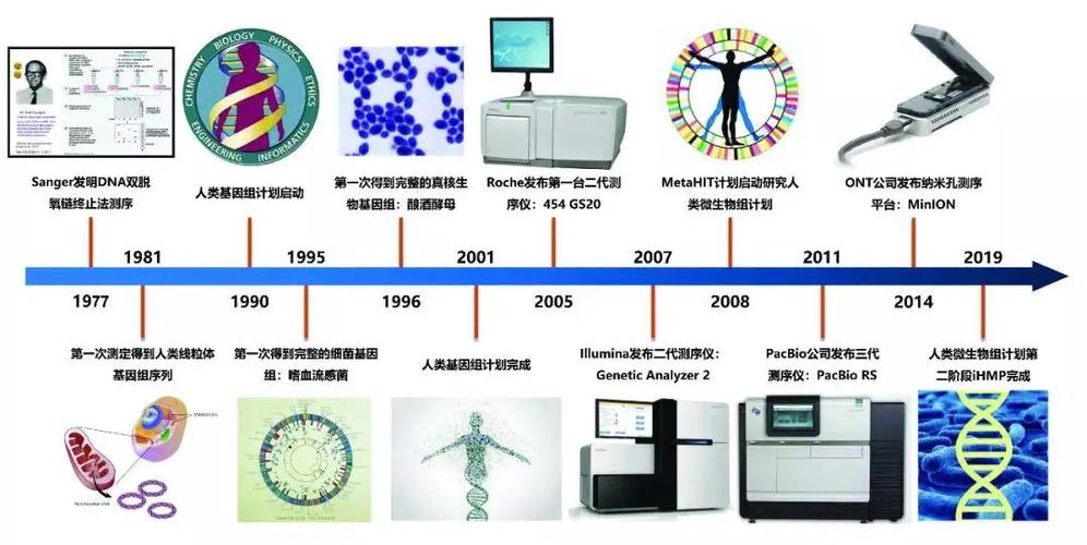 SNV程序,基因测序领域的“精准利器” SEO关键词 SNV程序,基因测序领域的“精准利器” SNV程序,基因测序领域的“精准利器” SEO关键词
