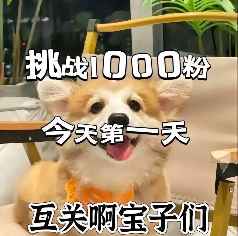 互赞宝网站搭建,打造互惠互利社交平台的新典范 网站建设公司 互赞宝网站搭建,打造互惠互利社交平台的新典范 互赞宝网站搭建,打造互惠互利社交平台的新典范 网站建设公司