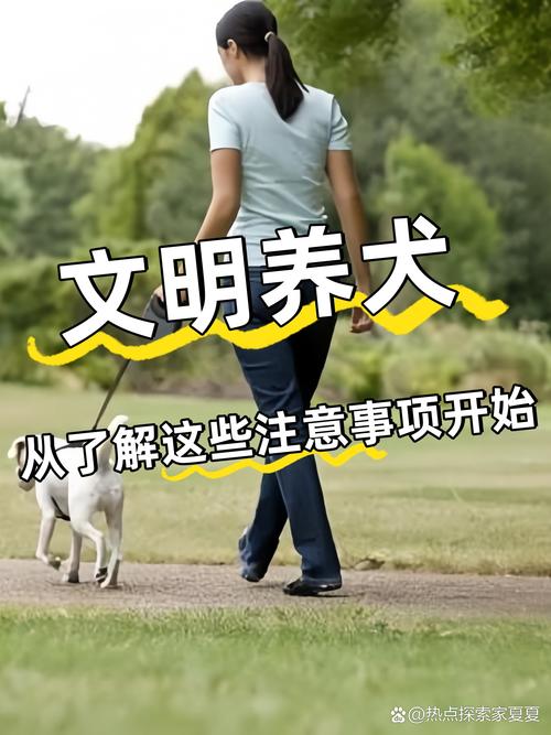人狗大战,一场跨越时空的文明冲突与反思 百度SEO 人狗大战,一场跨越时空的文明冲突与反思 人狗大战,一场跨越时空的文明冲突与反思 百度SEO