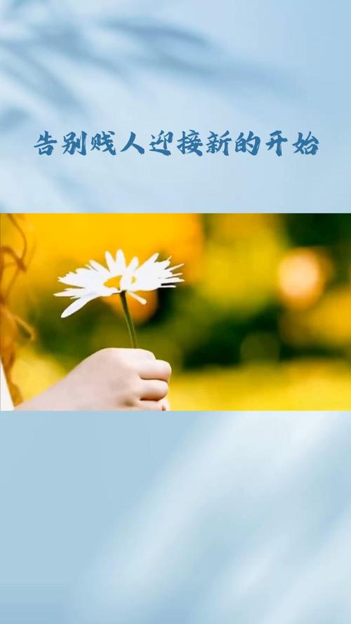 介绍到到安卓版入口,探索便捷生活的新方式 网站建设公司 介绍到到安卓版入口,探索便捷生活的新方式 介绍到到安卓版入口,探索便捷生活的新方式 网站建设公司