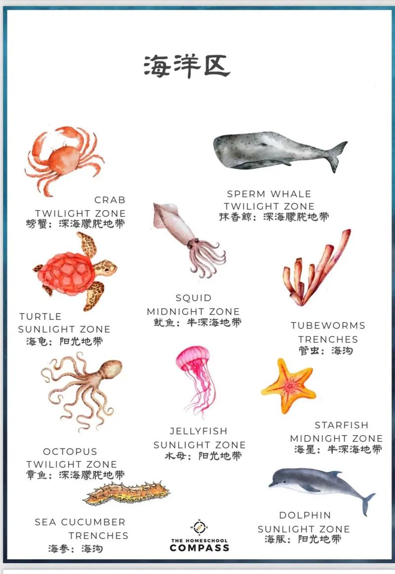 介绍素材之王_百度百科,海量知识的海洋 网站建设公司 介绍素材之王_百度百科,海量知识的海洋 介绍素材之王_百度百科,海量知识的海洋 网站建设公司