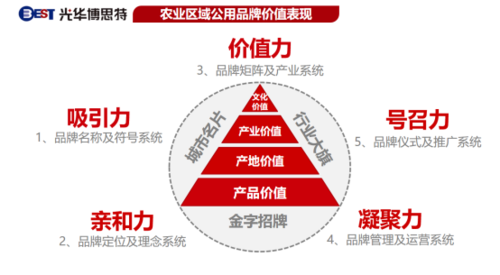 介绍网站名称与域名背后的奥秘,打造品牌影响力的关键要素 网站建设公司 介绍网站名称与域名背后的奥秘,打造品牌影响力的关键要素 介绍网站名称与域名背后的奥秘,打造品牌影响力的关键要素 网站建设公司