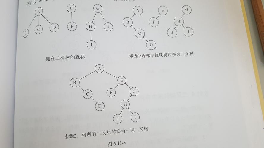 从数转二叉树的奥秘探寻到编程艺术的升华 神马SEO 从数转二叉树的奥秘探寻到编程艺术的升华 从数转二叉树的奥秘探寻到编程艺术的升华 神马SEO