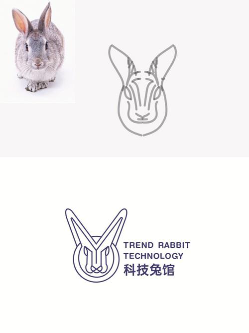 兔网站设计公司,创新驱动,打造卓越网络品牌形象 百度SEO 兔网站设计公司,创新驱动,打造卓越网络品牌形象 兔网站设计公司,创新驱动,打造卓越网络品牌形象 百度SEO