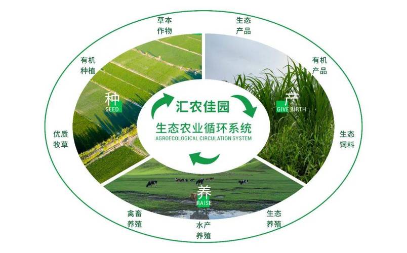 农业园设计,打造绿色生态,引领现代农业发展 SEO关键词 农业园设计,打造绿色生态,引领现代农业发展 农业园设计,打造绿色生态,引领现代农业发展 SEO关键词