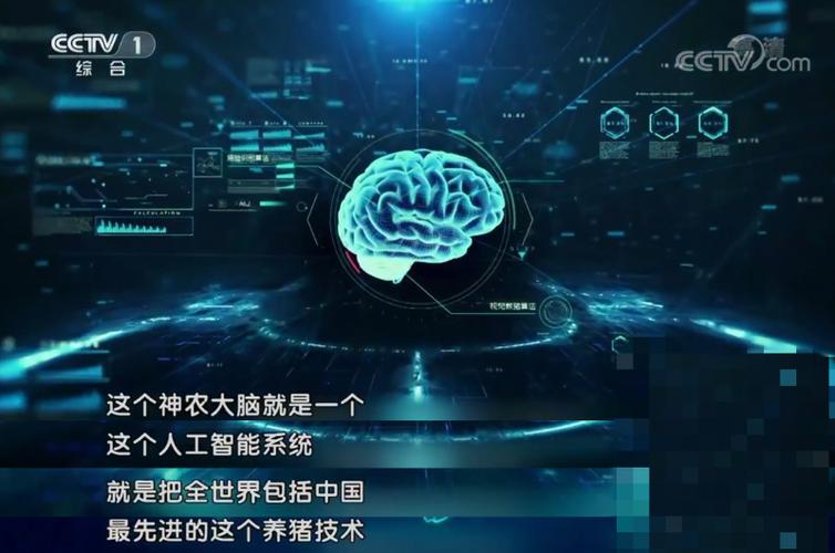 华为程序代码,介绍智能时代的“大脑”构建 神马SEO 华为程序代码,介绍智能时代的“大脑”构建 华为程序代码,介绍智能时代的“大脑”构建 神马SEO