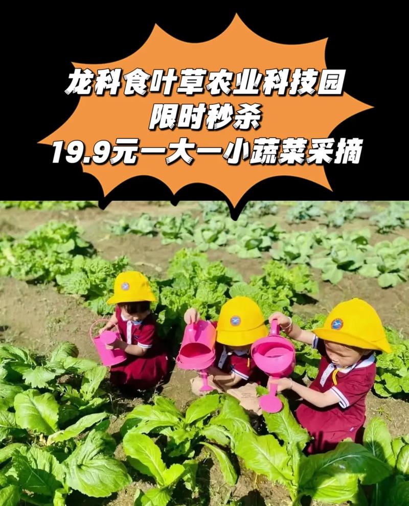 叶草G9355,科技与自然的和谐交响_探索绿色环保的无限可能 网站建设公司 叶草G9355,科技与自然的和谐交响_探索绿色环保的无限可能 叶草G9355,科技与自然的和谐交响_探索绿色环保的无限可能 网站建设公司