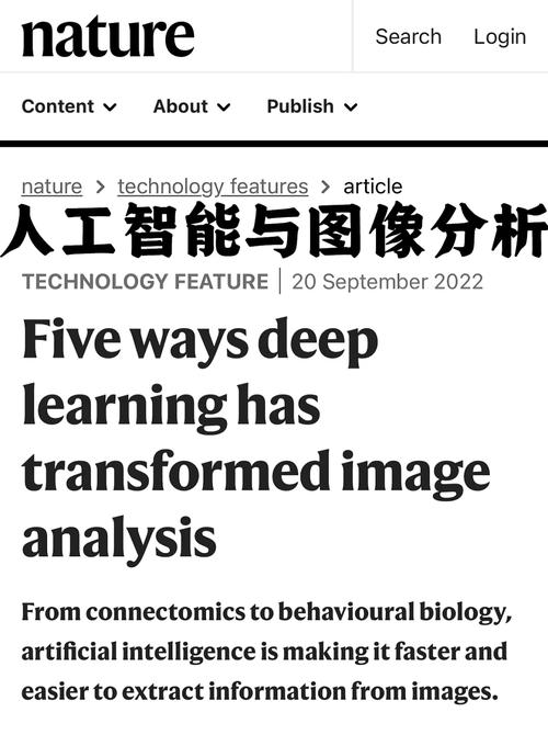 吴坚鸿程序代码,技术革新背后的故事 网站建设公司 吴坚鸿程序代码,技术革新背后的故事 吴坚鸿程序代码,技术革新背后的故事 网站建设公司