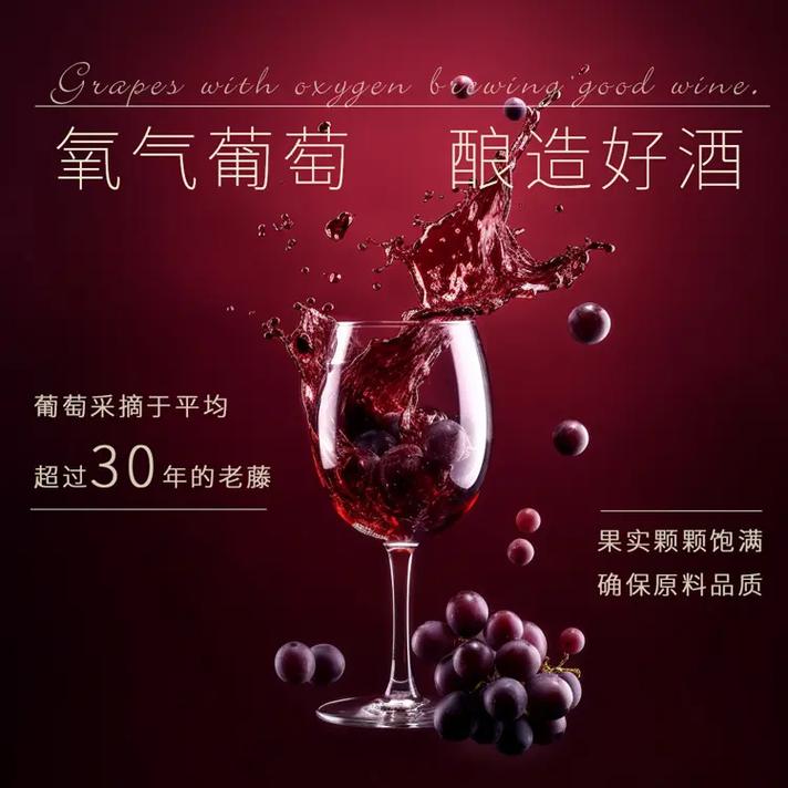 品味时光,尽在红酒的世界_介绍专业红酒网站的魅力 网站建设公司 品味时光,尽在红酒的世界_介绍专业红酒网站的魅力 品味时光,尽在红酒的世界_介绍专业红酒网站的魅力 网站建设公司