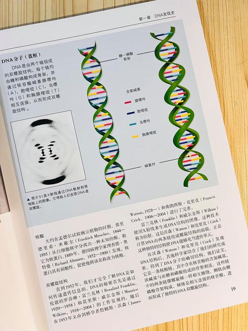 基因组网站搭建,探索生命奥秘的数字桥梁 基因组网站搭建,探索生命奥秘的数字桥梁 网站建设公司
