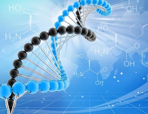 基因编程,生命科学与计算机科学的交汇点 神马SEO 基因编程,生命科学与计算机科学的交汇点 基因编程,生命科学与计算机科学的交汇点 神马SEO