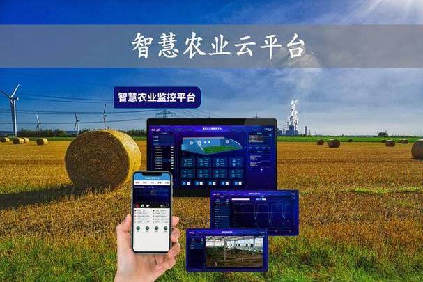 大豆行情网,大数据赋能农业,助力农民增收 百度SEO 大豆行情网,大数据赋能农业,助力农民增收 大豆行情网,大数据赋能农业,助力农民增收 百度SEO