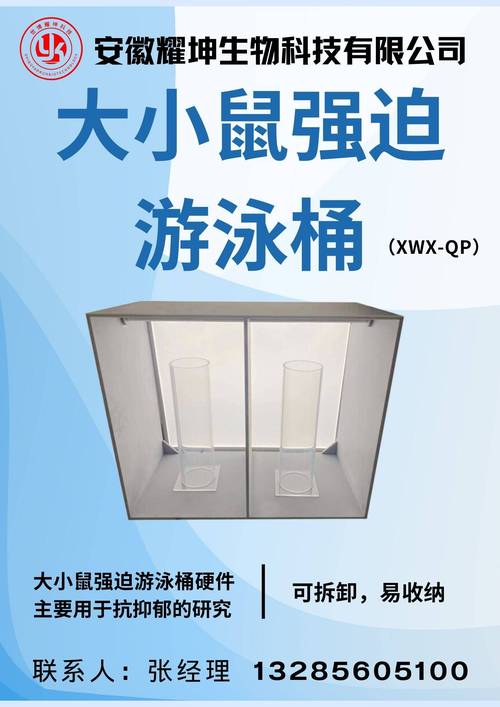 恤设计必备网站,打造个性化时尚的得力助手 百度SEO 恤设计必备网站,打造个性化时尚的得力助手 恤设计必备网站,打造个性化时尚的得力助手 百度SEO