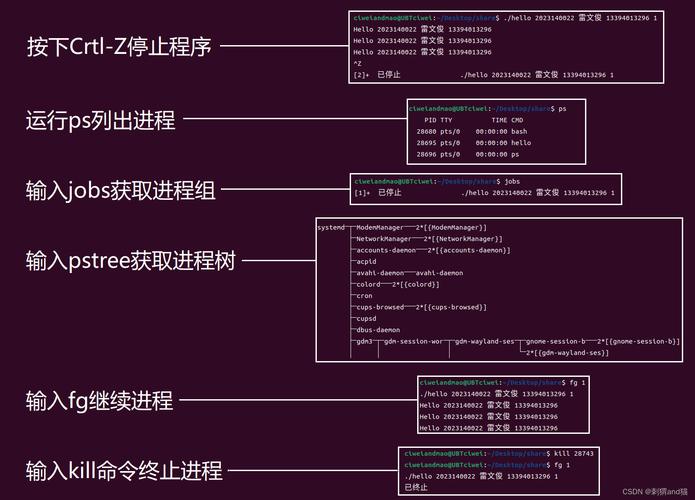 手机程序代码背后的智慧与魅力_介绍手机应用程序的诞生之路 必应SEO 手机程序代码背后的智慧与魅力_介绍手机应用程序的诞生之路 手机程序代码背后的智慧与魅力_介绍手机应用程序的诞生之路 必应SEO