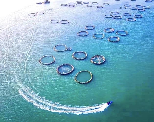 打造个性化海品质网站,开启海洋行业新篇章 网站建设公司 打造个性化海品质网站,开启海洋行业新篇章 打造个性化海品质网站,开启海洋行业新篇章 网站建设公司