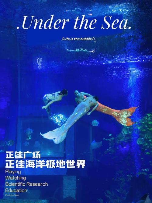 打造南海主题网站,探索海洋之美,传承海洋文化 网站建设公司 打造南海主题网站,探索海洋之美,传承海洋文化 打造南海主题网站,探索海洋之美,传承海洋文化 网站建设公司