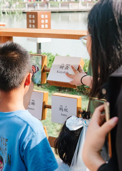 打造宠物友好型网站,为毛孩子们搭建温馨的互联网家园 网站建设公司 打造宠物友好型网站,为毛孩子们搭建温馨的互联网家园 打造宠物友好型网站,为毛孩子们搭建温馨的互联网家园 网站建设公司