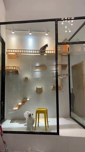 打造家居宠乐园,猫爬架设计网站引领猫咪生活新风尚 网站建设公司 打造家居宠乐园,猫爬架设计网站引领猫咪生活新风尚 打造家居宠乐园,猫爬架设计网站引领猫咪生活新风尚 网站建设公司