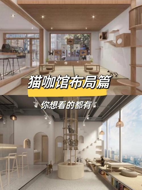 打造温馨猫咖,设计师如何引领潮流 搜狗SEO 打造温馨猫咖,设计师如何引领潮流 打造温馨猫咖,设计师如何引领潮流 搜狗SEO