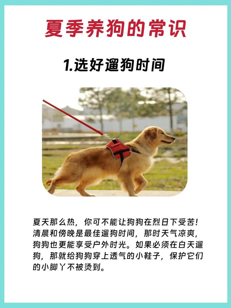 打造狗杂志官网,为爱宠生活添彩 必应SEO 打造狗杂志官网,为爱宠生活添彩 打造狗杂志官网,为爱宠生活添彩 必应SEO