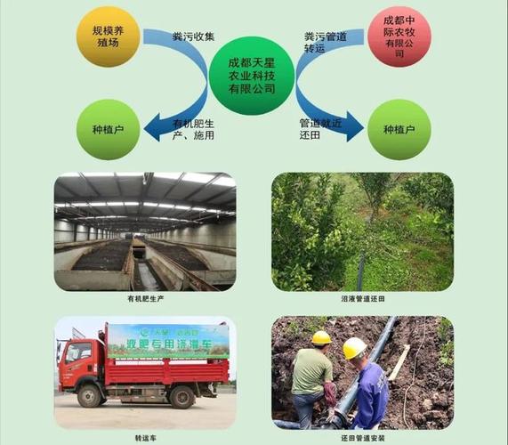打造生态家园,鸡窝设计图网站助力绿色养殖 SEO关键词 打造生态家园,鸡窝设计图网站助力绿色养殖 打造生态家园,鸡窝设计图网站助力绿色养殖 SEO关键词