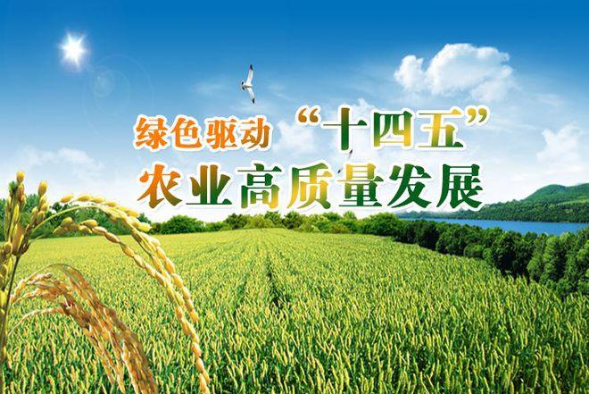 打造绿色未来,农产品网站助力农业现代化发展 必应SEO 打造绿色未来,农产品网站助力农业现代化发展 打造绿色未来,农产品网站助力农业现代化发展 必应SEO