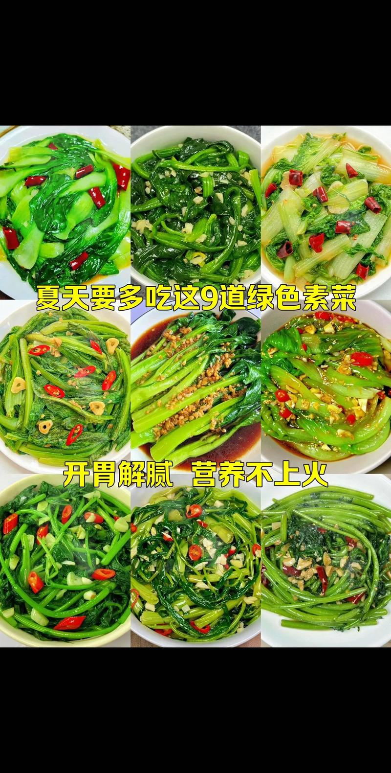 打造绿色餐桌,素菜类网站引领健康饮食潮流 SEO关键词 打造绿色餐桌,素菜类网站引领健康饮食潮流 打造绿色餐桌,素菜类网站引领健康饮食潮流 SEO关键词