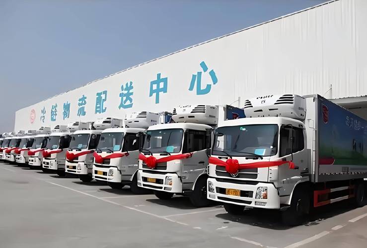 打造高效速冻库,开启冷链物流新时代 SEO关键词 打造高效速冻库,开启冷链物流新时代 打造高效速冻库,开启冷链物流新时代 SEO关键词