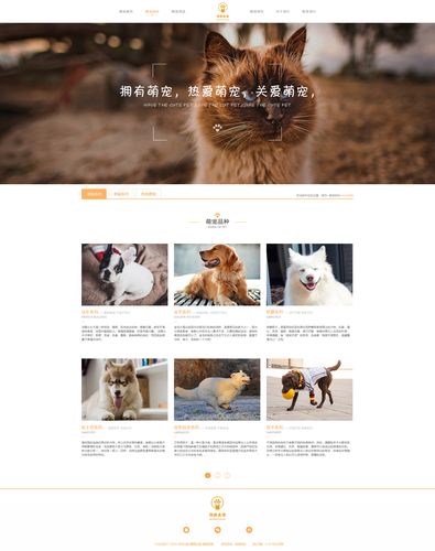 拥抱可爱,打造温馨治愈的网站设计 SEO关键词 拥抱可爱,打造温馨治愈的网站设计 拥抱可爱,打造温馨治愈的网站设计 SEO关键词
