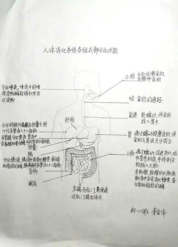 探寻搔脚心网站,介绍人体奥秘与健康之路 必应SEO 探寻搔脚心网站,介绍人体奥秘与健康之路 探寻搔脚心网站,介绍人体奥秘与健康之路 必应SEO