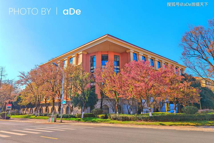 探寻昆明微网站的神奇魅力,云南旅游的新窗口 网站建设公司 探寻昆明微网站的神奇魅力,云南旅游的新窗口 探寻昆明微网站的神奇魅力,云南旅游的新窗口 网站建设公司