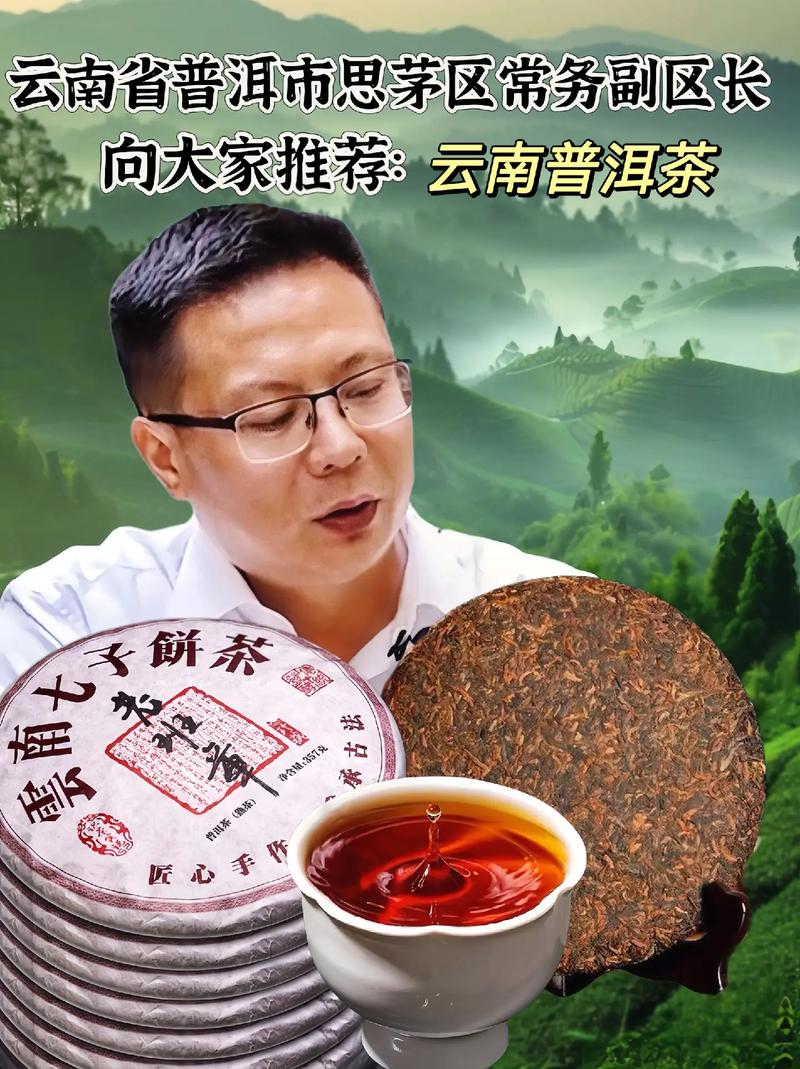 探寻普洱茶之美,一场跨越千年的茶叶传奇 网站建设公司 探寻普洱茶之美,一场跨越千年的茶叶传奇 探寻普洱茶之美,一场跨越千年的茶叶传奇 网站建设公司