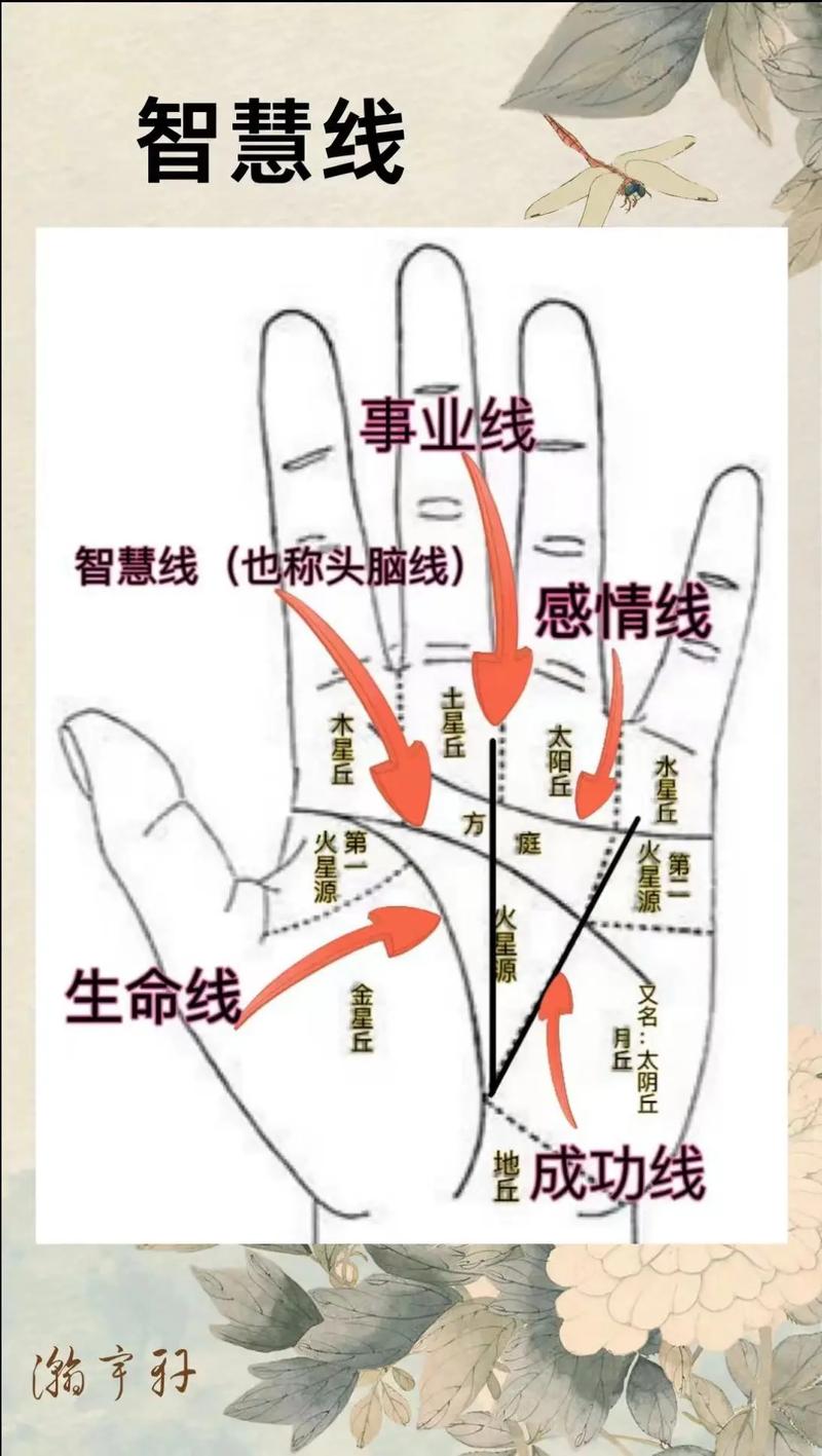探寻最小值,编程世界的智慧之光 探寻最小值,编程世界的智慧之光 百度SEO