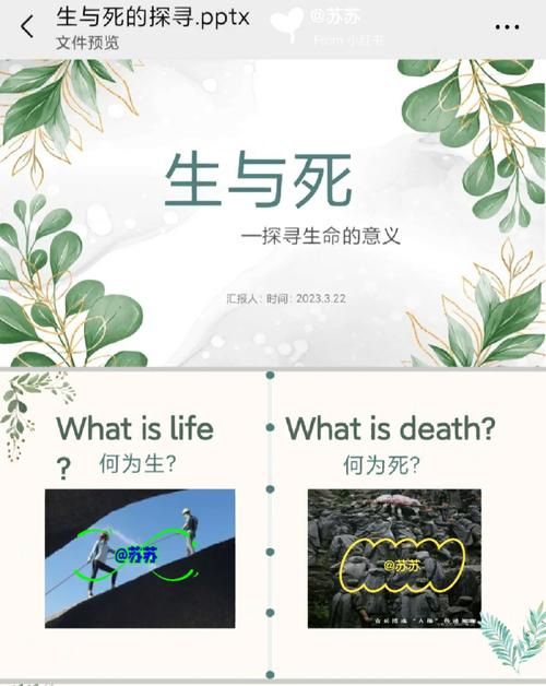 探寻死亡的程序代码,介绍生命终结的神秘面纱 SEO关键词 探寻死亡的程序代码,介绍生命终结的神秘面纱 探寻死亡的程序代码,介绍生命终结的神秘面纱 SEO关键词