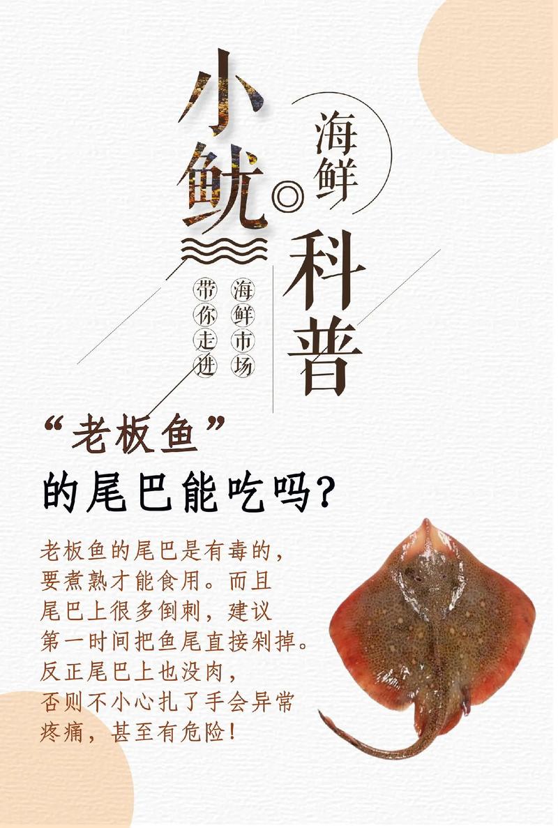 探寻海鲜美食的海洋世界_海鲜类网站设计分析 探寻海鲜美食的海洋世界_海鲜类网站设计分析 网站建设公司