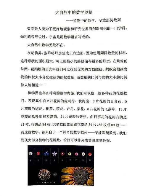 探寻鞍点的奥秘,程序背后的数学之美 SEO关键词 探寻鞍点的奥秘,程序背后的数学之美 探寻鞍点的奥秘,程序背后的数学之美 SEO关键词