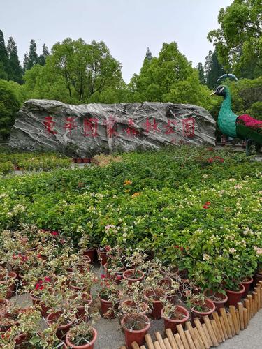 探索崇明岛,绿色生态岛,上海的后花园 必应SEO 探索崇明岛,绿色生态岛,上海的后花园 探索崇明岛,绿色生态岛,上海的后花园 必应SEO