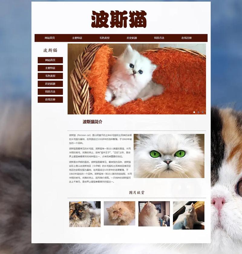 探索猫设计教程网站,培养创意思维,提升设计技能 百度SEO 探索猫设计教程网站,培养创意思维,提升设计技能 探索猫设计教程网站,培养创意思维,提升设计技能 百度SEO