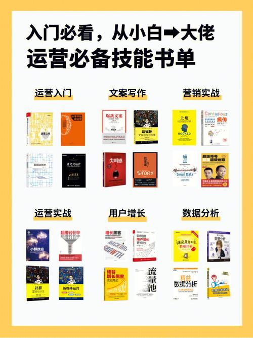 搭建D网站,从基础到进阶的全方位指南 百度SEO 搭建D网站,从基础到进阶的全方位指南 搭建D网站,从基础到进阶的全方位指南 百度SEO