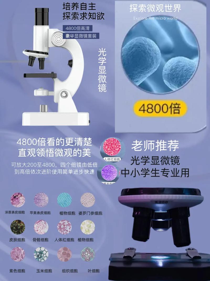 显微镜,探索微观世界的神奇窗口_从设计网站看显微镜的发展与创新 网站建设公司 显微镜,探索微观世界的神奇窗口_从设计网站看显微镜的发展与创新 显微镜,探索微观世界的神奇窗口_从设计网站看显微镜的发展与创新 网站建设公司