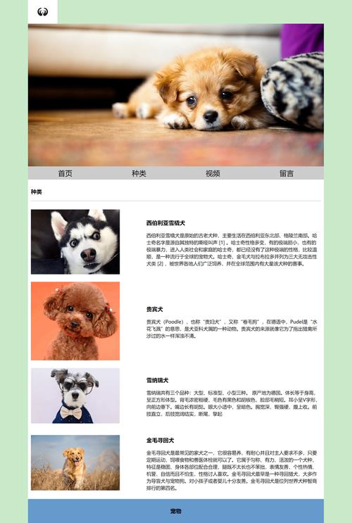 柯基网站设计,创新科技与美学艺术的完美融合 搜狗SEO 柯基网站设计,创新科技与美学艺术的完美融合 柯基网站设计,创新科技与美学艺术的完美融合 搜狗SEO