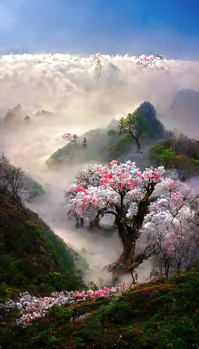 桃源深处,桃花依旧_探寻人间仙境的韵致 网站建设公司 桃源深处,桃花依旧_探寻人间仙境的韵致 桃源深处,桃花依旧_探寻人间仙境的韵致 网站建设公司