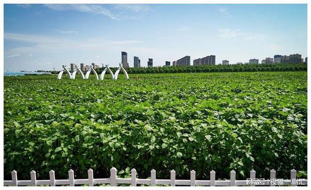 桦南县,生态宜居,产业兴旺,打造绿色高质量发展新标杆 SEO关键词 桦南县,生态宜居,产业兴旺,打造绿色高质量发展新标杆 桦南县,生态宜居,产业兴旺,打造绿色高质量发展新标杆 SEO关键词