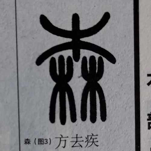 森字,探寻汉字之美,感悟自然之韵 神马SEO 森字,探寻汉字之美,感悟自然之韵 森字,探寻汉字之美,感悟自然之韵 神马SEO
