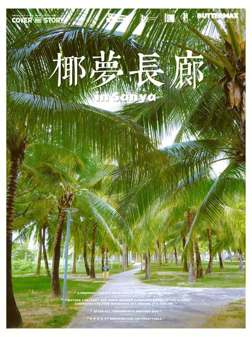 椰树,热带风情的绿色瑰宝,助力我国生态文明建设 必应SEO 椰树,热带风情的绿色瑰宝,助力我国生态文明建设 椰树,热带风情的绿色瑰宝,助力我国生态文明建设 必应SEO