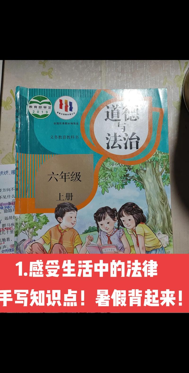 模仿网站侵权辨析,法律边界与道德考量 搜狗SEO 模仿网站侵权辨析,法律边界与道德考量 模仿网站侵权辨析,法律边界与道德考量 搜狗SEO